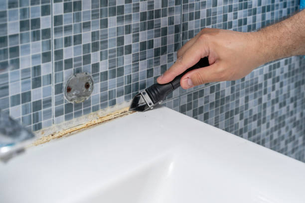 Best Post-Remediation Services in East Meadow, NY